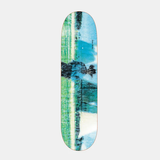 Polar Skate Co. Dane Brady - Texas