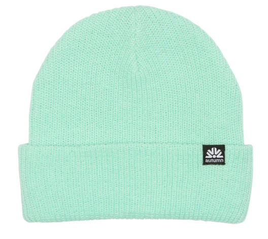 Autumn Simple Beanie 2024