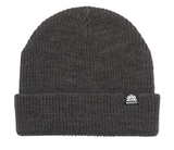 Autumn Simple Beanie 2024